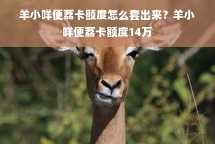 羊小咩便荔卡额度怎么套出来？羊小咩便荔卡额度14万