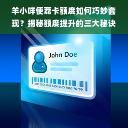 羊小咩便荔卡额度如何巧妙套现？揭秘额度提升的三大秘诀！