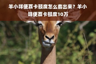 羊小咩便荔卡额度怎么套出来？羊小咩便荔卡额度10万