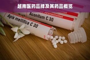 越南医药品牌及其药品概览