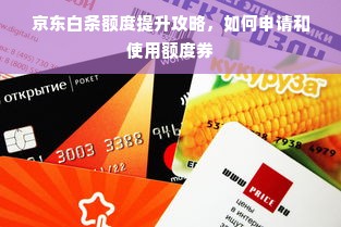 京东白条额度提升攻略，如何申请和使用额度券