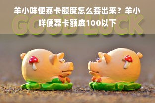 羊小咩便荔卡额度怎么套出来？羊小咩便荔卡额度100以下
