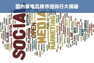 国内家电品牌市值排行大揭秘