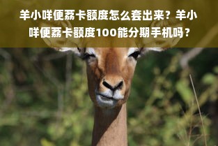 羊小咩便荔卡额度怎么套出来？羊小咩便荔卡额度100能分期手机吗？