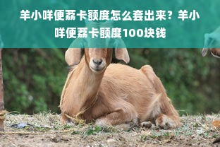 羊小咩便荔卡额度怎么套出来？羊小咩便荔卡额度100块钱