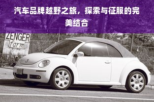 汽车品牌越野之旅，探索与征服的完美结合