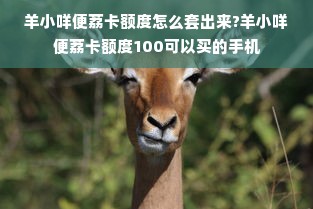 羊小咩便荔卡额度怎么套出来?羊小咩便荔卡额度100可以买的手机