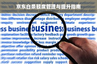 京东白条额度管理与提升指南