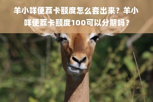 羊小咩便荔卡额度怎么套出来？羊小咩便荔卡额度100可以分期吗？