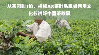 从茶园到T恤，揭秘XX茶叶品牌如何用文化衫讲好中国茶故事