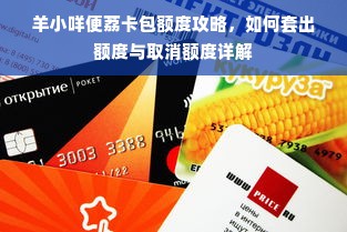 羊小咩便荔卡包额度攻略，如何套出额度与取消额度详解