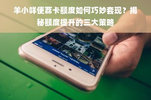 羊小咩便荔卡额度如何巧妙套现？揭秘额度提升的三大策略