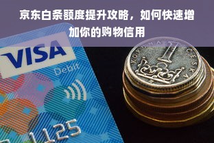 京东白条额度提升攻略，如何快速增加你的购物信用