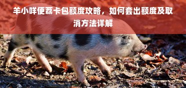 羊小咩便荔卡包额度攻略，如何套出额度及取消方法详解