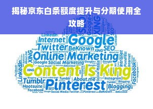 揭秘京东白条额度提升与分期使用全攻略