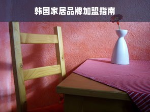 韩国家居品牌加盟指南