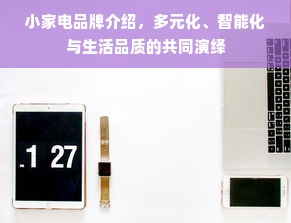 小家电品牌介绍，多元化、智能化与生活品质的共同演绎