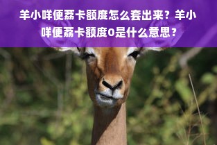羊小咩便荔卡额度怎么套出来？羊小咩便荔卡额度0是什么意思？