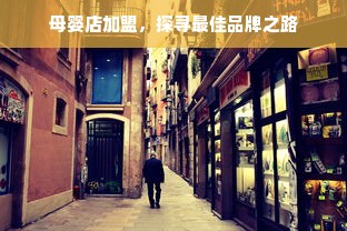 母婴店加盟，探寻最佳品牌之路