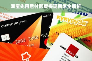 淘宝先用后付额度提现商家全解析