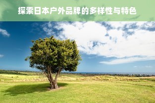 探索日本户外品牌的多样性与特色