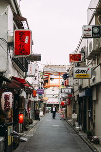 探索日本户外品牌的多样性与特色