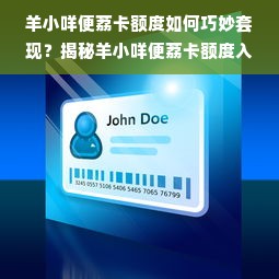 羊小咩便荔卡额度如何巧妙套现？揭秘羊小咩便荔卡额度入口操作指南