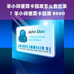 羊小咩便荔卡额度怎么套出来？羊小咩便荔卡额度 8000