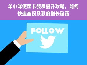 羊小咩便荔卡额度提升攻略，如何快速套现及额度增长秘籍