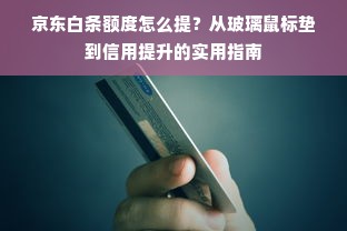 京东白条额度怎么提？从玻璃鼠标垫到信用提升的实用指南