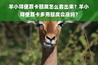 羊小咩便荔卡额度怎么套出来？羊小咩便荔卡多用额度会涨吗？
