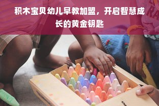 积木宝贝幼儿早教加盟，开启智慧成长的黄金钥匙