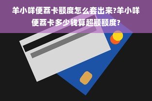 羊小咩便荔卡额度怎么套出来?羊小咩便荔卡多少钱算超额额度?