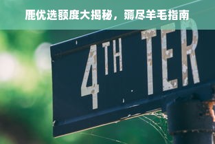 鹿优选额度大揭秘，薅尽羊毛指南