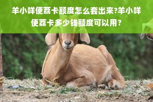 羊小咩便荔卡额度怎么套出来?羊小咩便荔卡多少钱额度可以用？