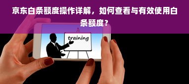 京东白条额度操作详解，如何查看与有效使用白条额度？