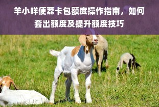 羊小咩便荔卡包额度操作指南，如何套出额度及提升额度技巧