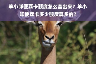 羊小咩便荔卡额度怎么套出来？羊小咩便荔卡多少额度算多的？