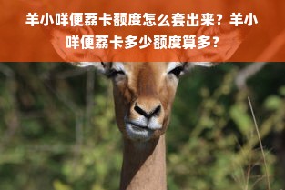 羊小咩便荔卡额度怎么套出来？羊小咩便荔卡多少额度算多？