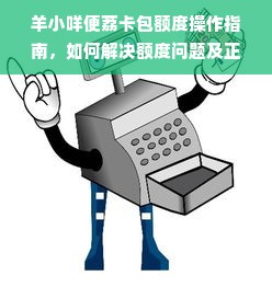 羊小咩便荔卡包额度操作指南，如何解决额度问题及正确使用方式