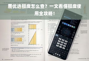 鹿优选额度怎么查？一文看懂额度使用全攻略！