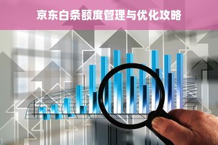 京东白条额度管理与优化攻略