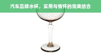汽车品牌水杯，实用与情怀的完美结合