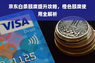 京东白条额度提升攻略，橙色额度使用全解析