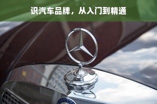 识汽车品牌，从入门到精通