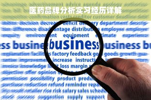 医药品牌分析实习经历详解