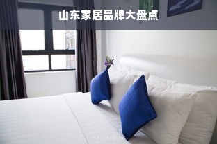 山东家居品牌大盘点
