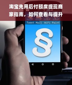淘宝先用后付额度提现商家指南，如何查看与提升额度？