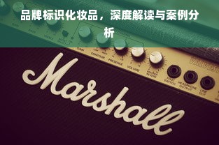 品牌标识化妆品，深度解读与案例分析