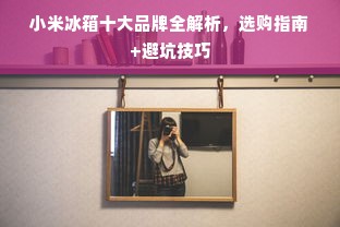 小米冰箱十大品牌全解析，选购指南+避坑技巧